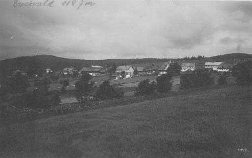 Buina s horou Str v pozad  r.1925