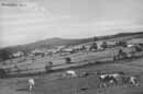 Pastviny v okol Buiny r.1917