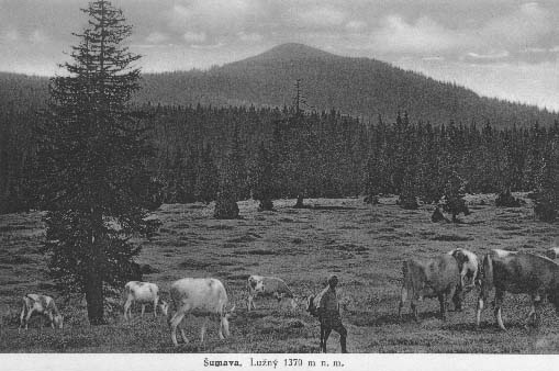 Pastviny pod Luznm r.1932