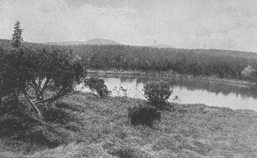 Zrdn raelinn jezrko ve Weitfllerskch slatch r.1932