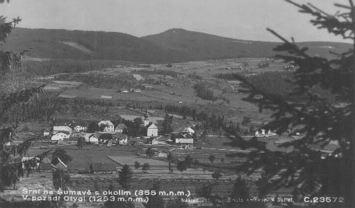 Srn s vrchem Antgl v pozad  r.1931