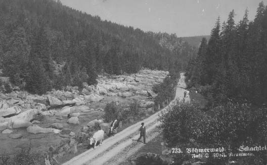 Klostermannova cesta, v pozad skaln tvar "Baba"  r.1925