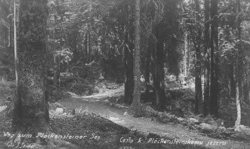 Lesn cesta k jezeru  r.1925