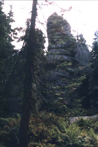 Skaln tvar u Vysokho kamene  r.2001
