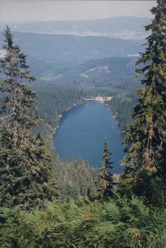 Plen jezero r.1994