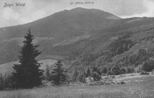 Panorama s nejvy horou umavy Velkm Javorem r.1926