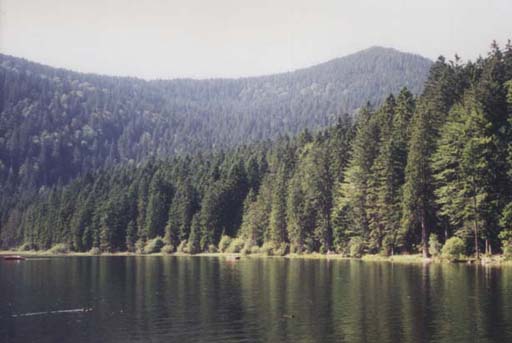 Javorsk jezero  r.1998