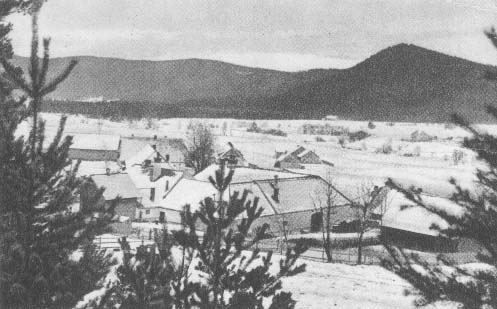 Zima v Borovch Ladech, v pozad hora Homole  r.1940