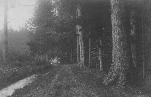 Partie na cest podl kanlu  r.1918