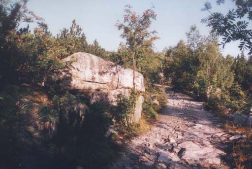 Cesta k Plenmu jezeru  r.2001